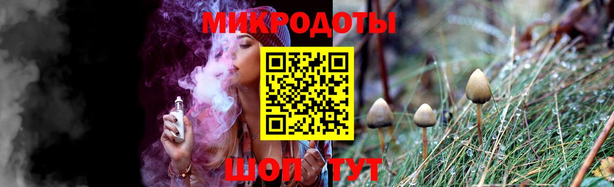 Мончегорск  Галлюциногенные грибы Cubensis  Вход с VPN 