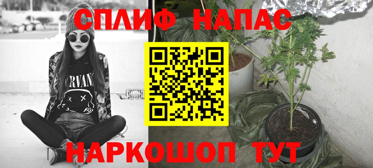 Мончегорск  Каннабис THC 21%  Конопля тримм  Вход с VPN  Шишки марихуана AK-47  Шишки марихуана гибрид 